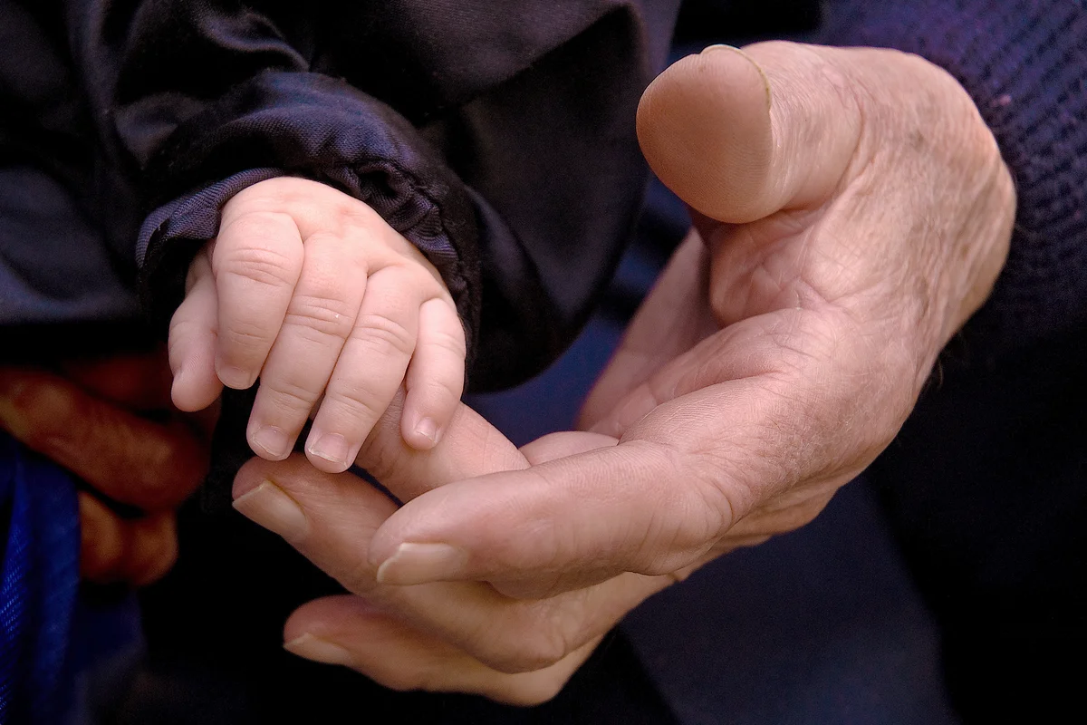 Grandfather and grandson holding hands