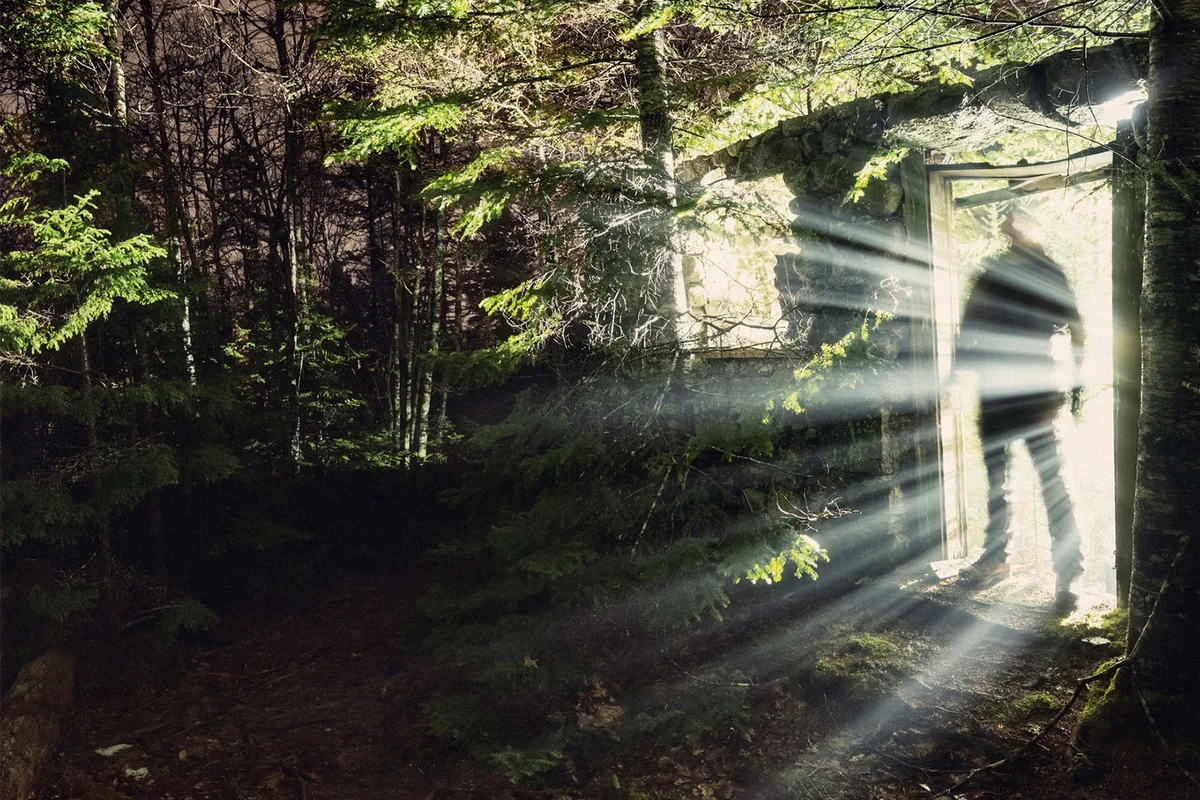 spooky doorway in forest