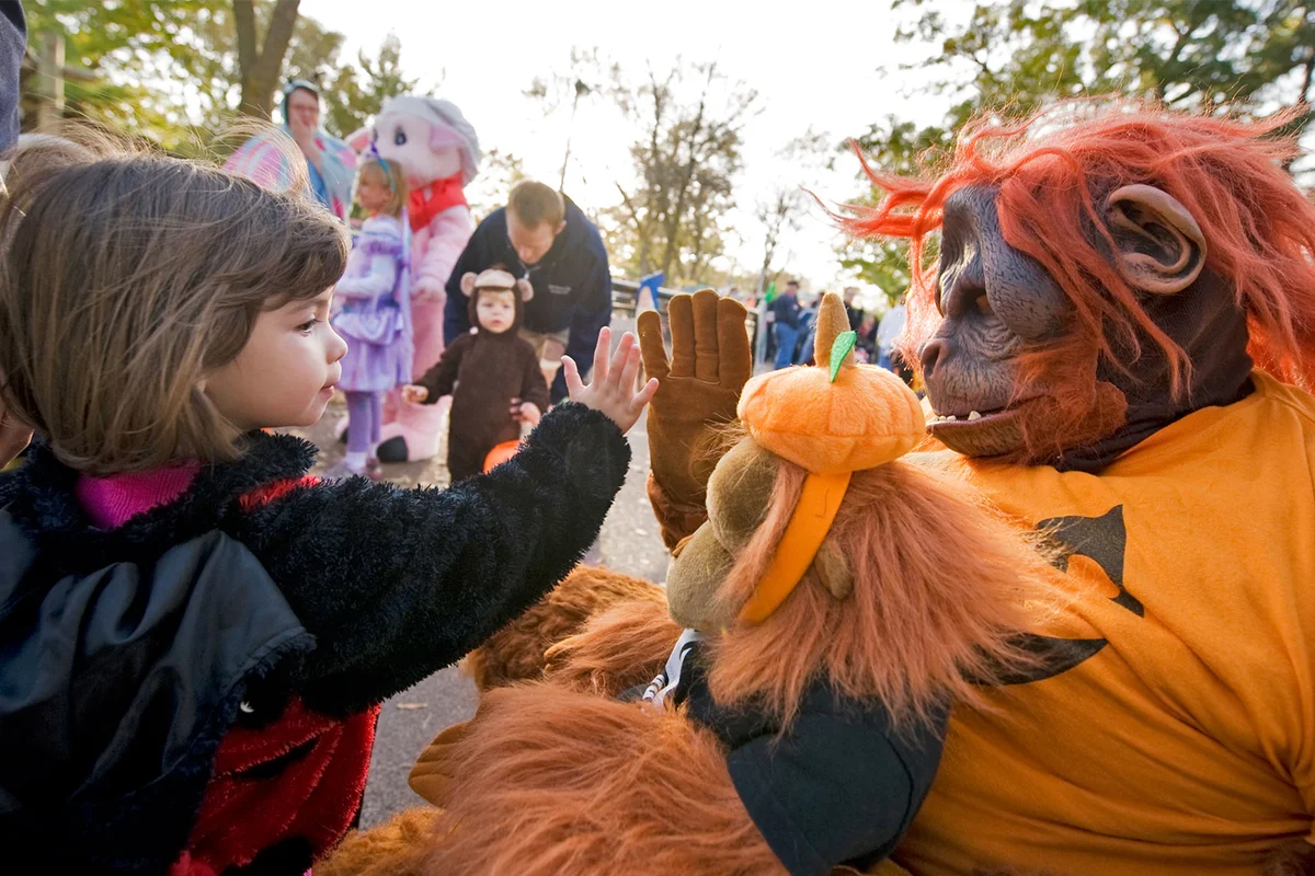 Halloween Boo at Zoo