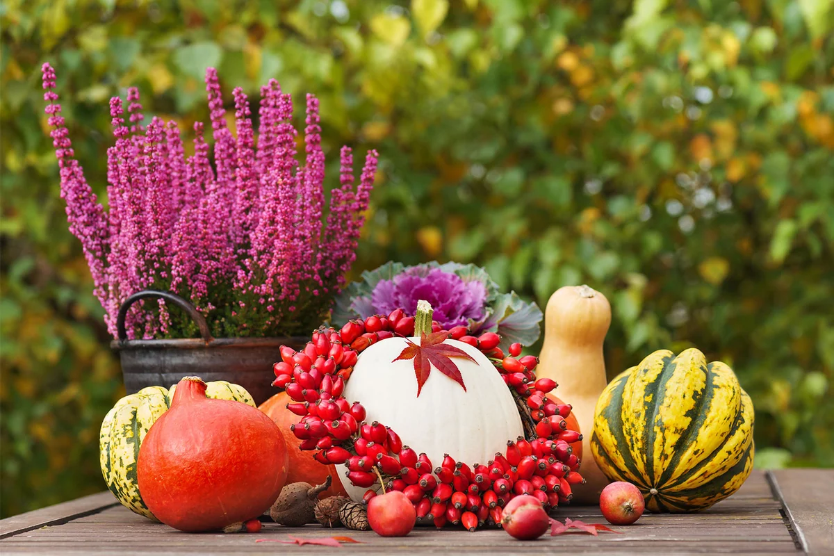 autumn themed decorations for an outdoor Halloween party