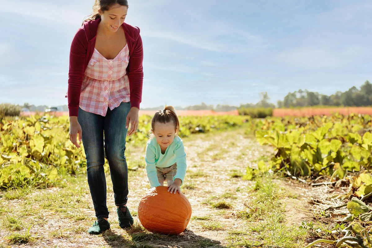 toddler rolling pumpkin in field at Halloween party