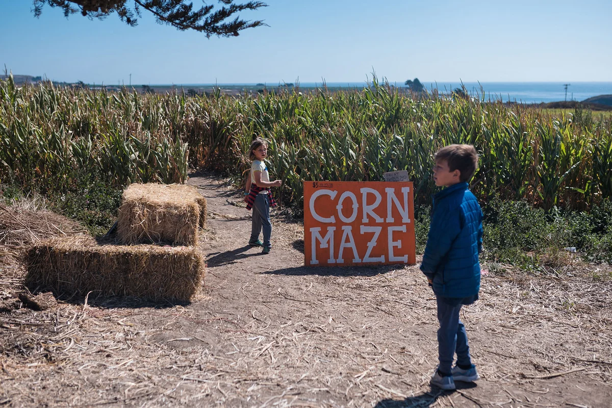 children at corn maze as a Halloween tradition