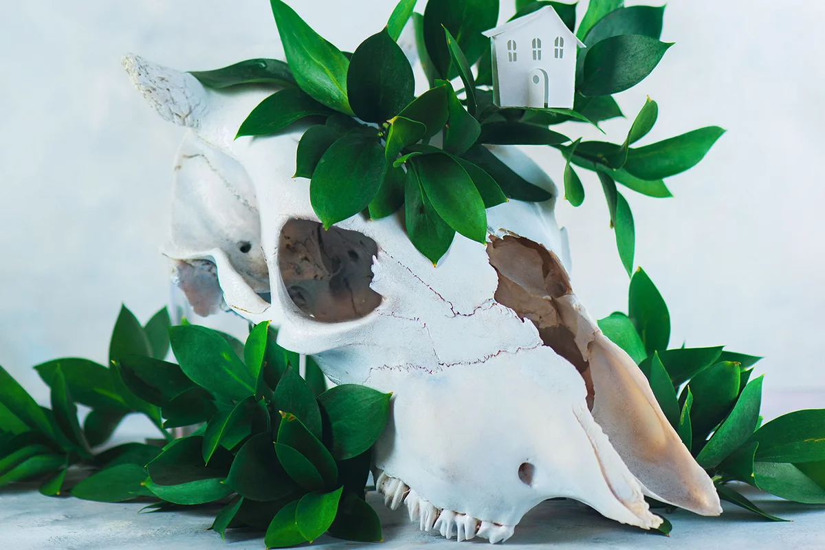 animal skull with leaves