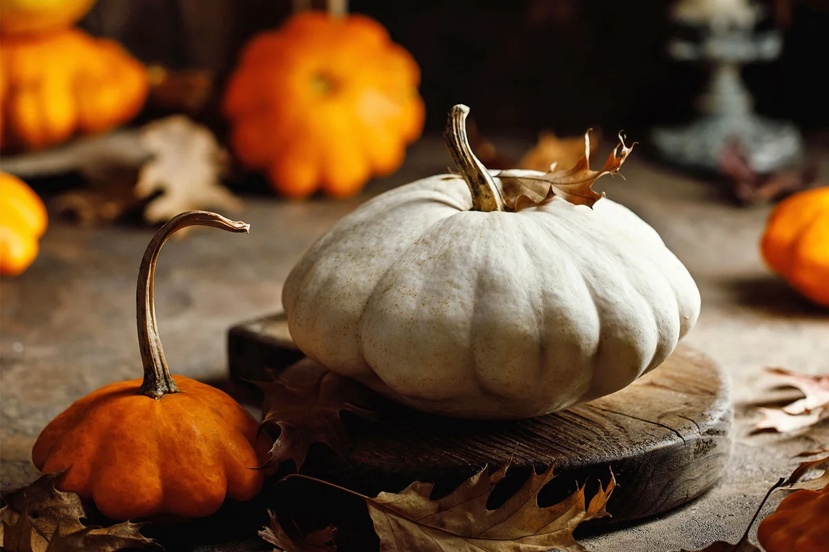 Natural Fall Beauty Halloween autumn table decoration
