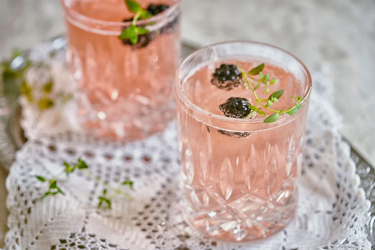 blackberry spritzer cocktail