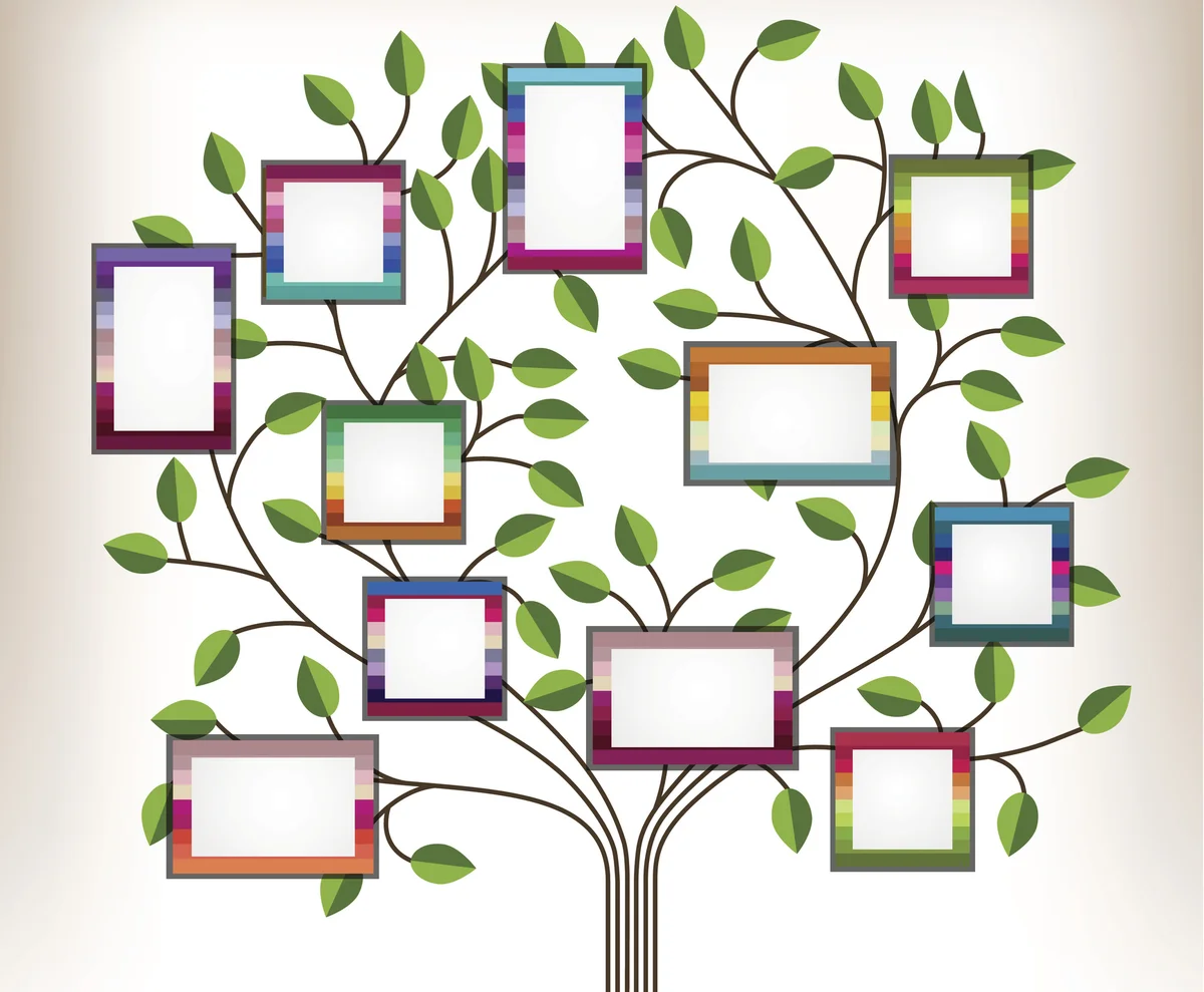 family tree illustration
