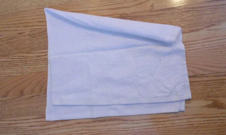 towel cat