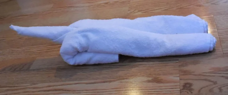 towel cat