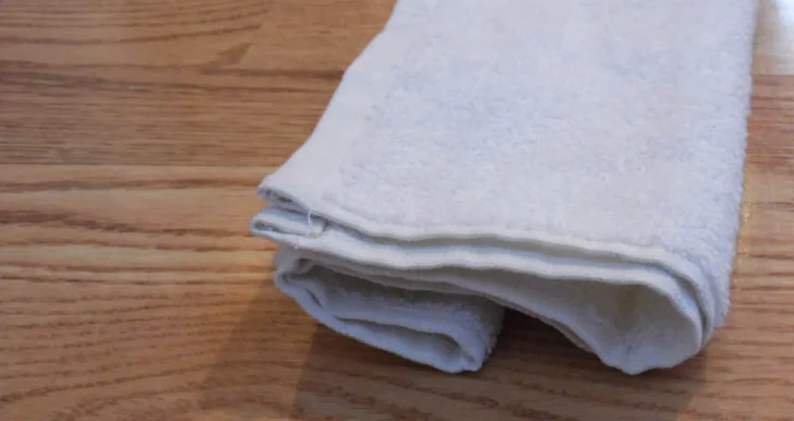towel cat