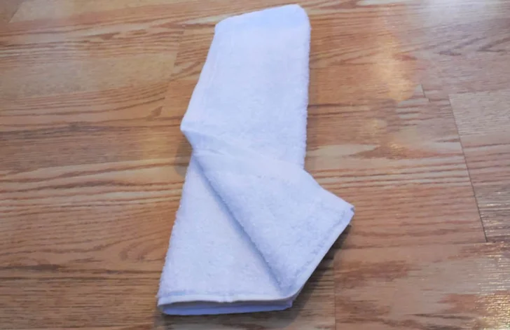 towel cat