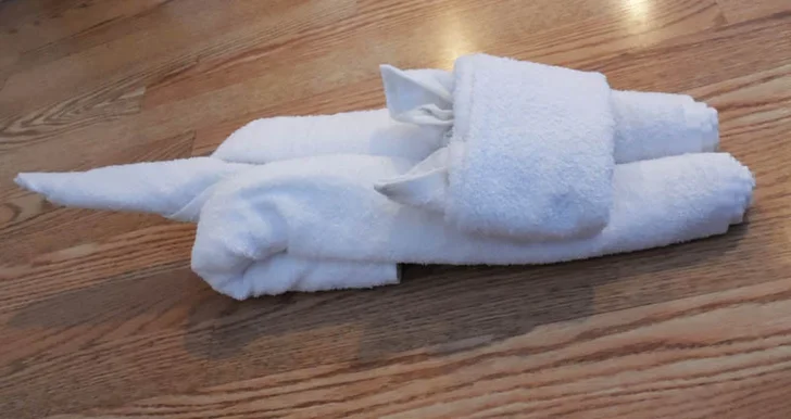 towel cat
