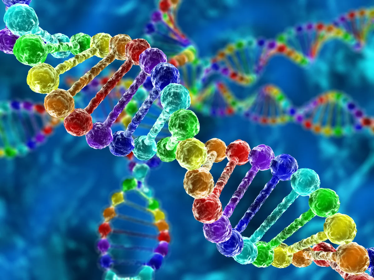 Rainbow DNA
