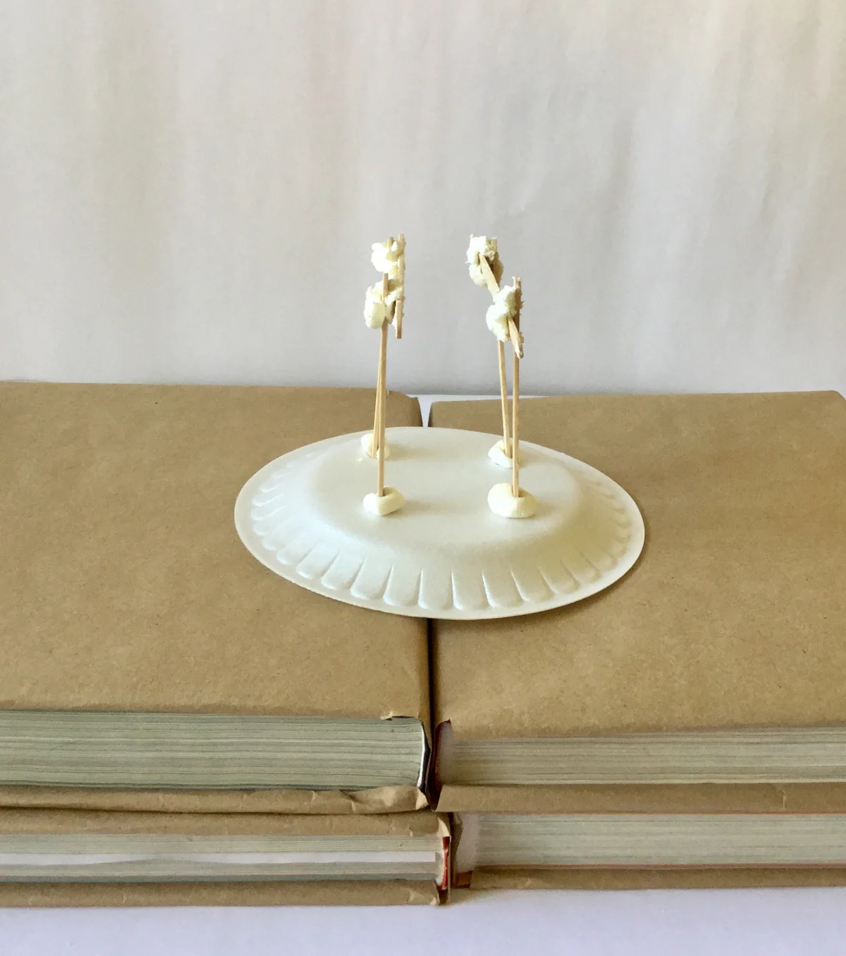 Earthquake model between books