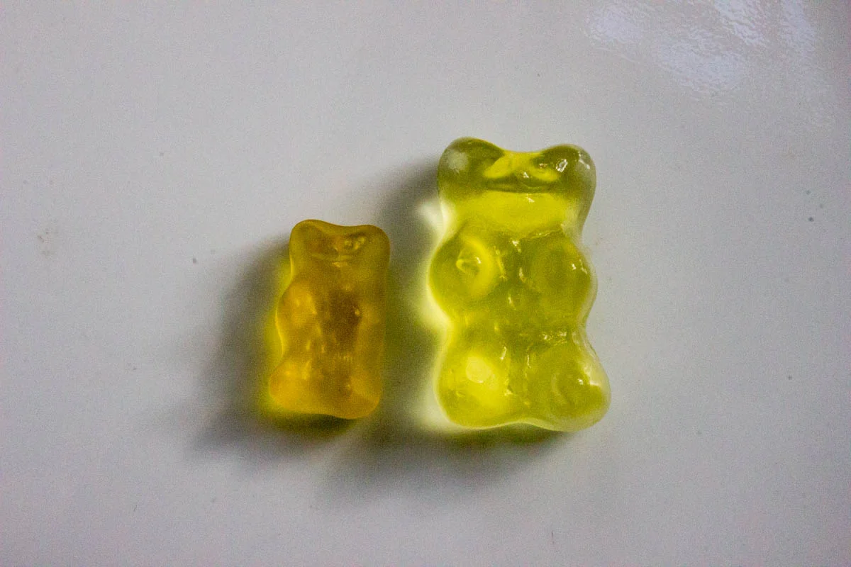 gummy bear comparison