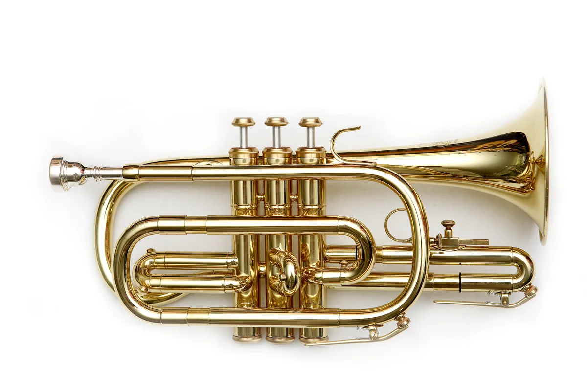 Cornet