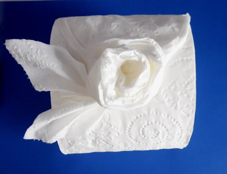 toilet paper rose