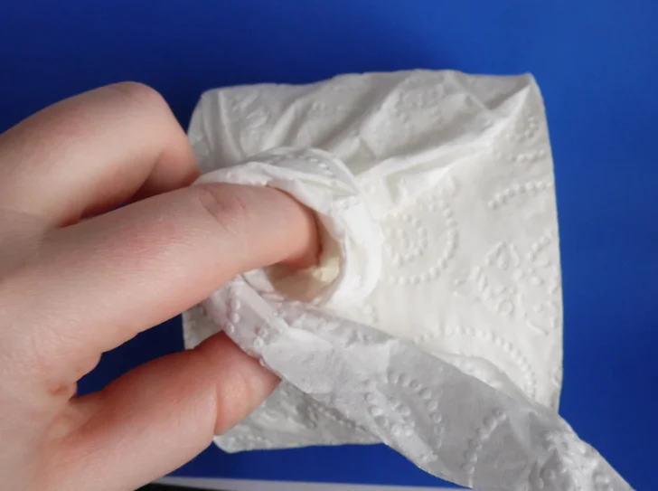 toilet paper rose