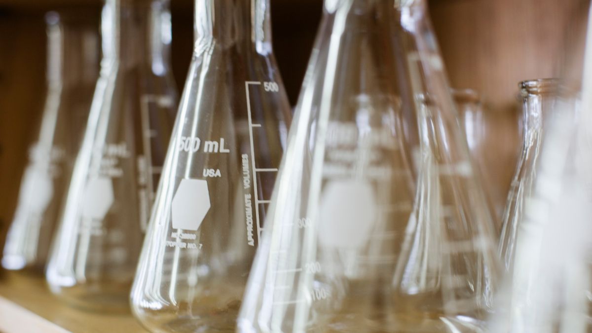 Fleck Science Exploring the Diverse Realms of Science