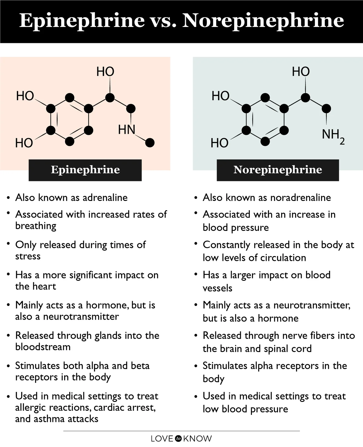 Epinephrine vs norepinephrine infographic