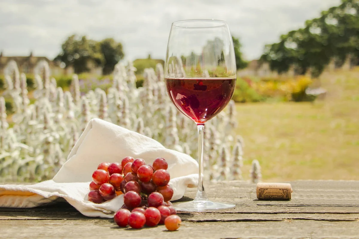 Red Grapes With Wineglass On Table At Field