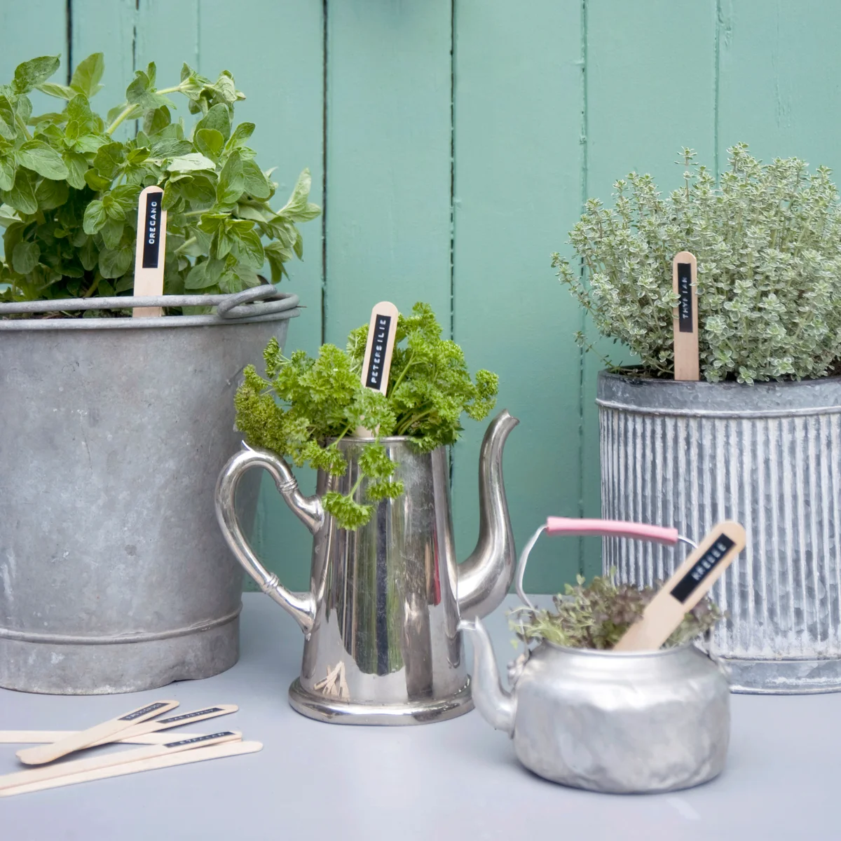 Teapot herb garden