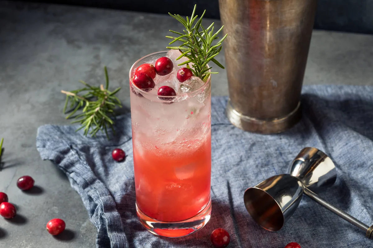 Variety of festive Christmas cocktails with cranberry and lime