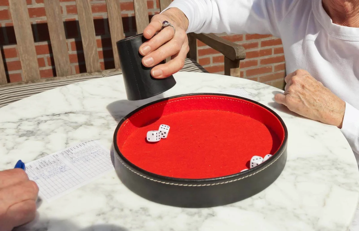 Senior couple playing dice game outdoor in garden