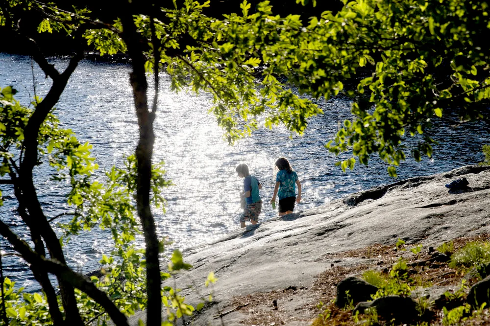 Young campers investigate the shoreline at Sebago Lake State Park