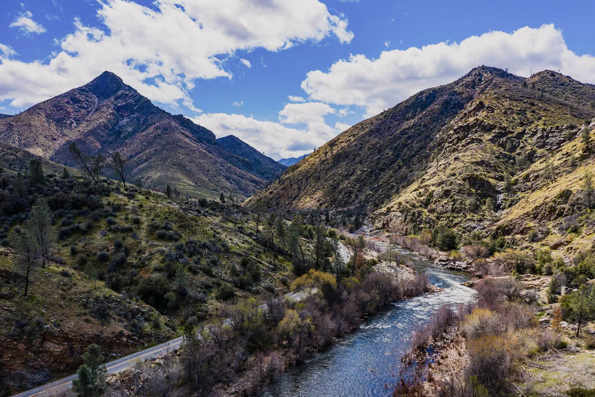 Images of the Superbloom near Kernville, CA, USA