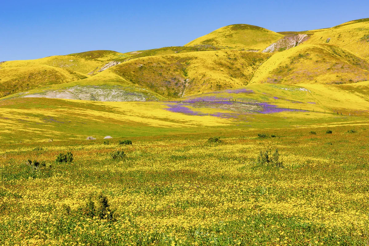 The Carrizo Plain National Monument in Spring