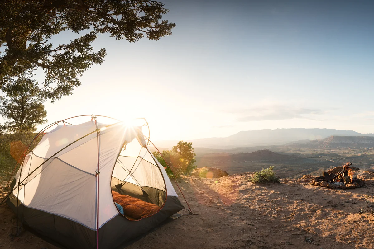 Tent Camping Under a Pinon Tree in the Desert