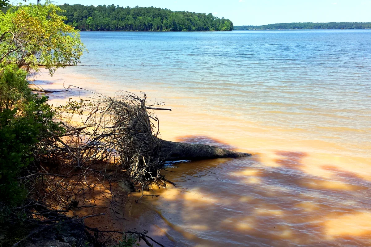 Parkers Creek Jordan Lake