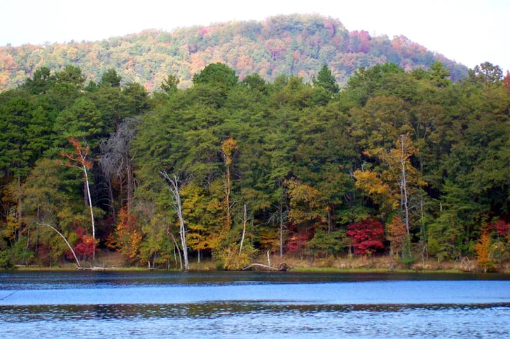 Lake Tillery from Morrow Mountain State Park