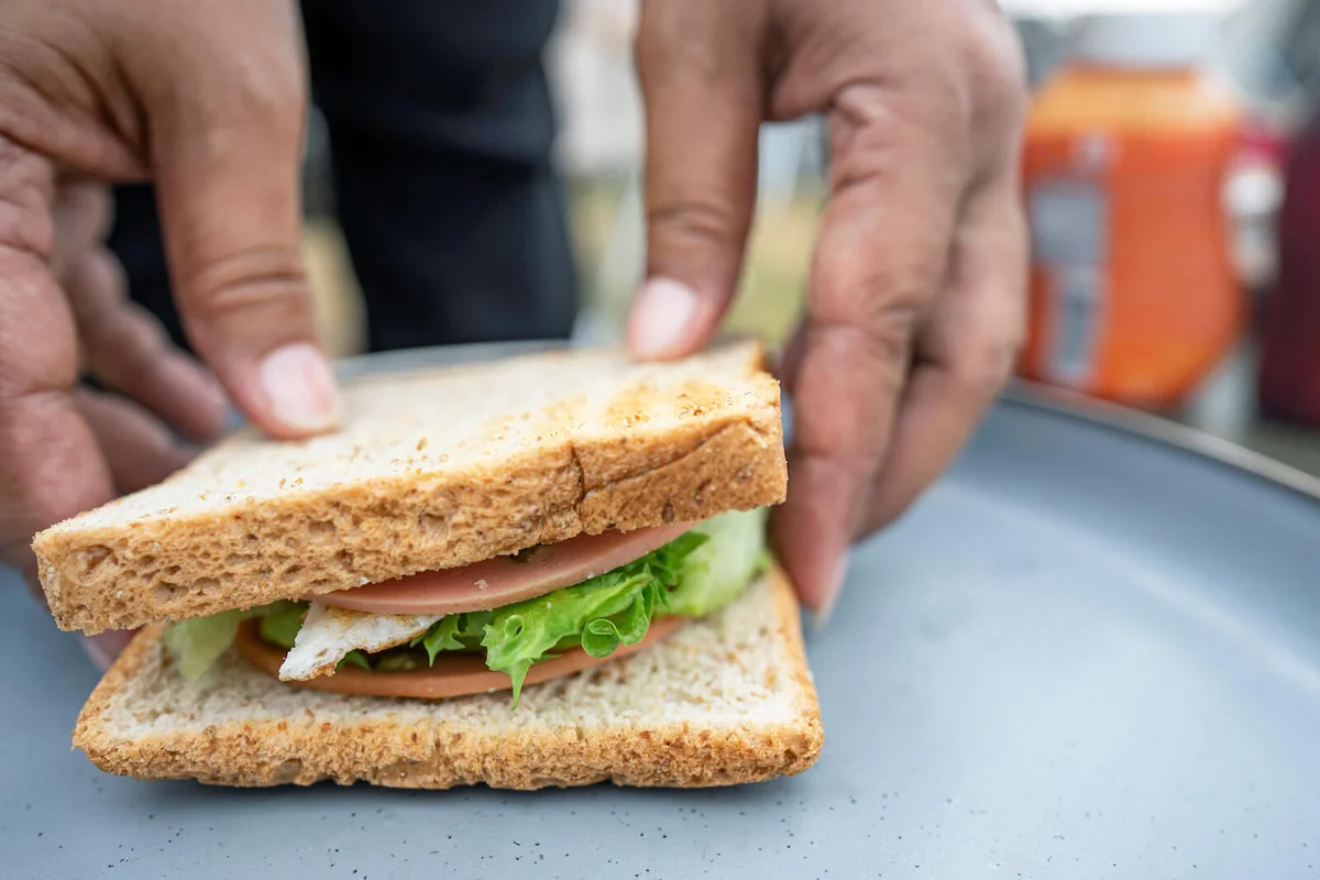 Camping in the forest. Sandwiches in a basket
