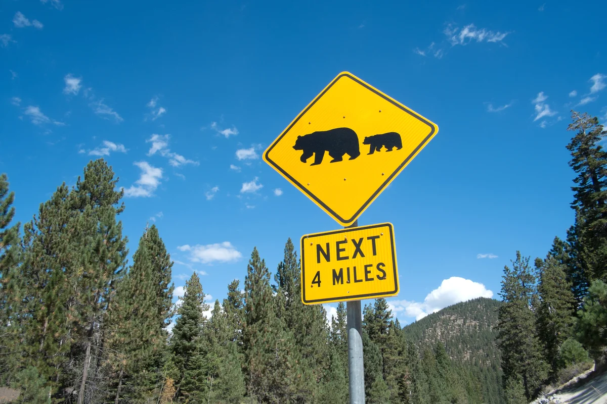 Bear warning sign on highway 56, South Lake Tahoe, Nevada, USA