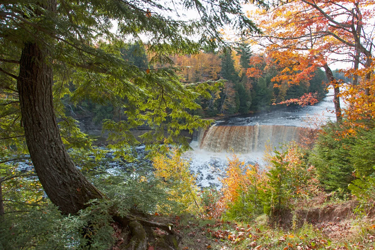 Tahquamenon Waterfall