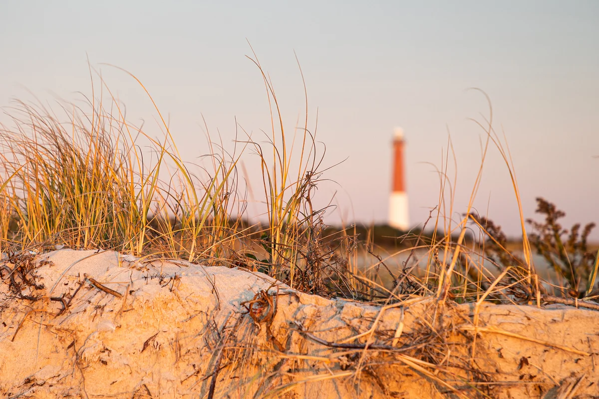 Unusual shot of a blurred Barnegat Lighthouse with sharp dune vegetation in the foreground