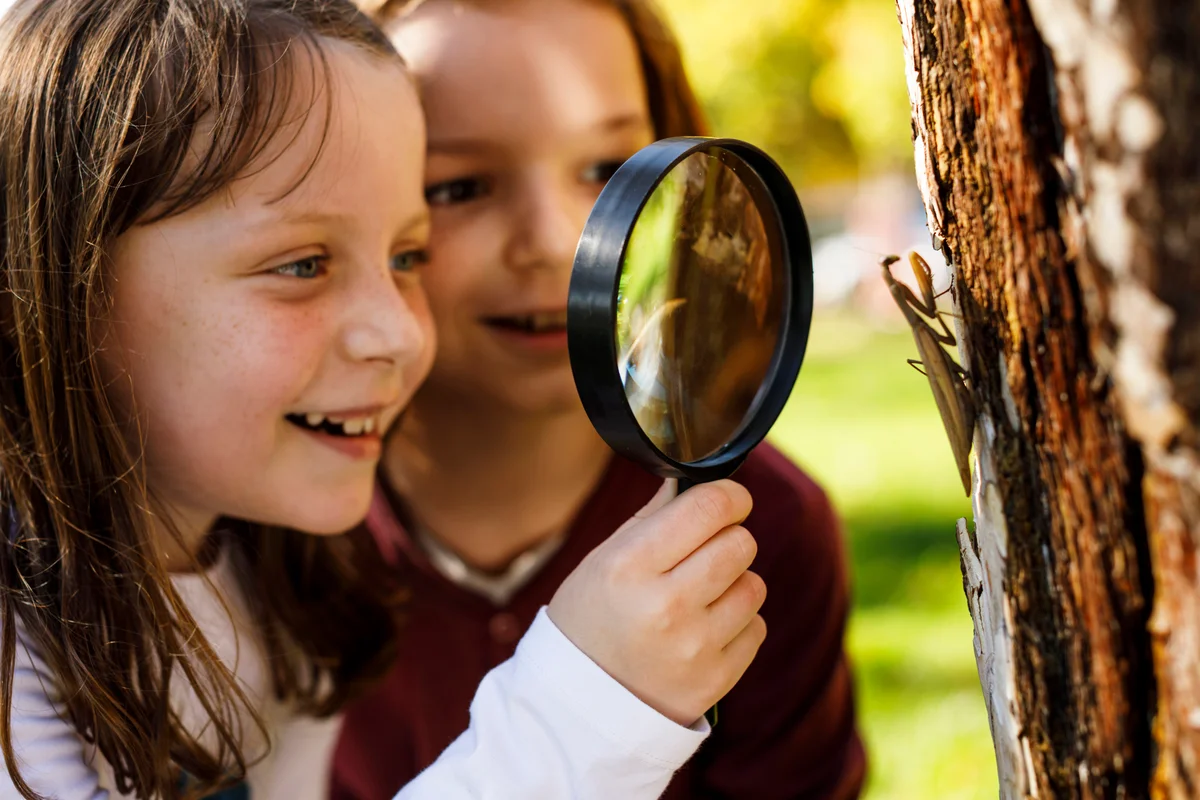 Children exploring insects