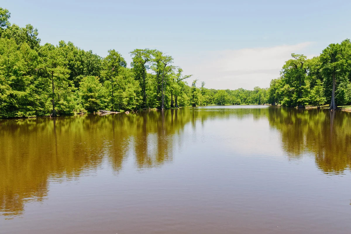 Leroy Percy State Park
