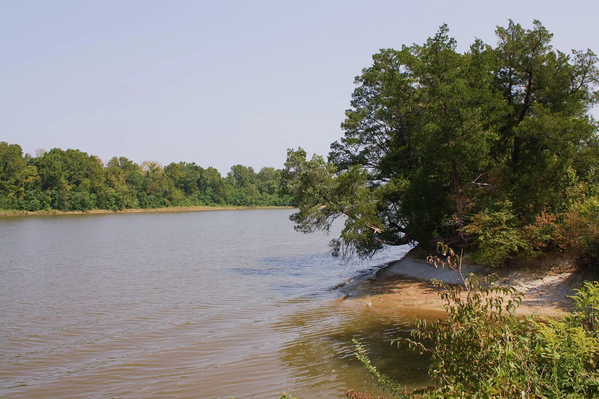 The Tombigbee River at Riverside Cemetery in Demopolis.