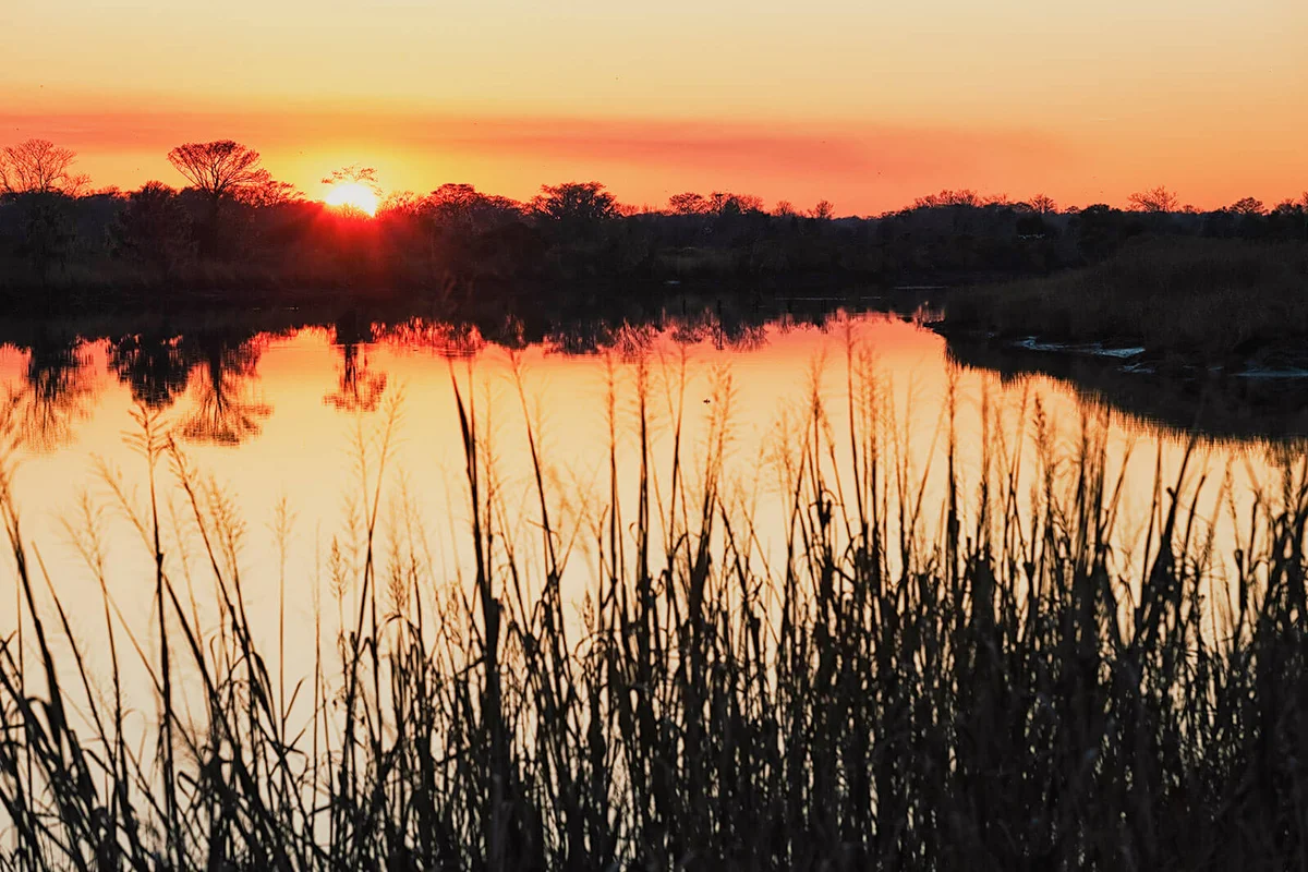 Sunset over Southern USA swamp horizontal