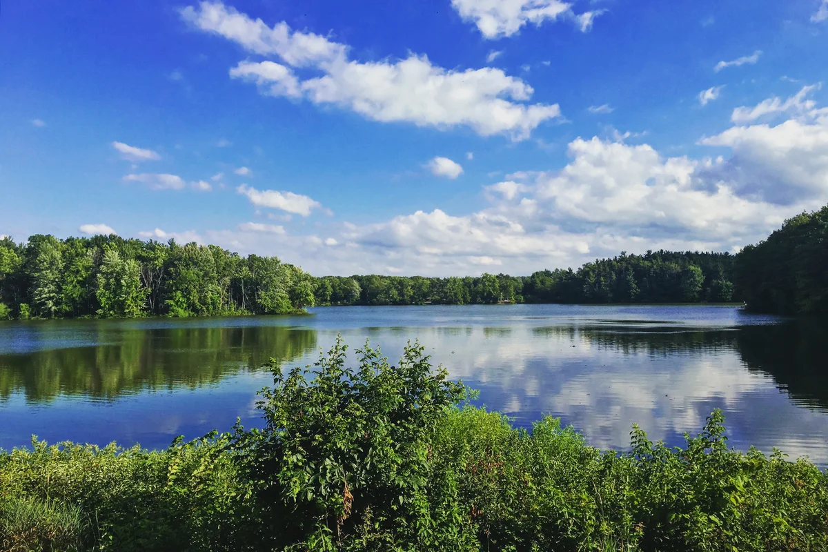Findley State Park