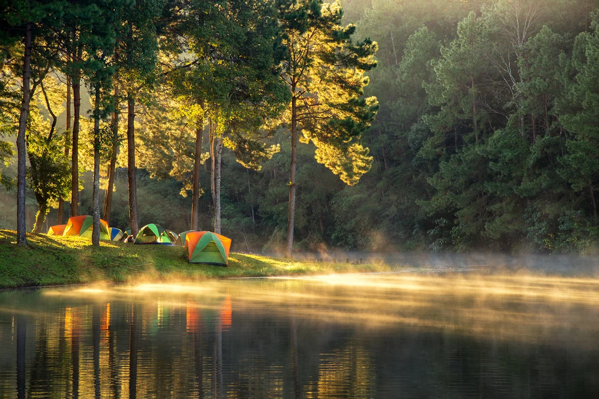 Morning next to the lake