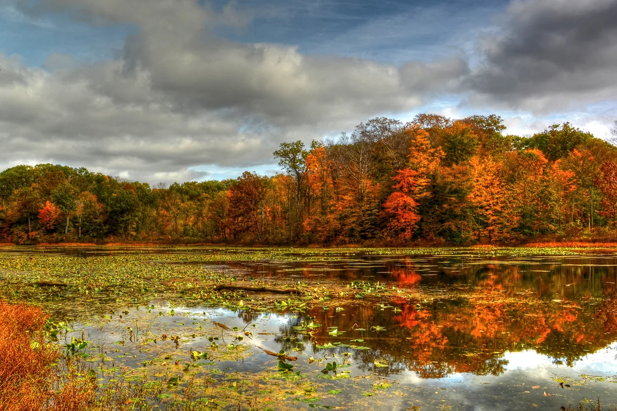 Autumn trees reflection on Stump Lake at Punderson State Park