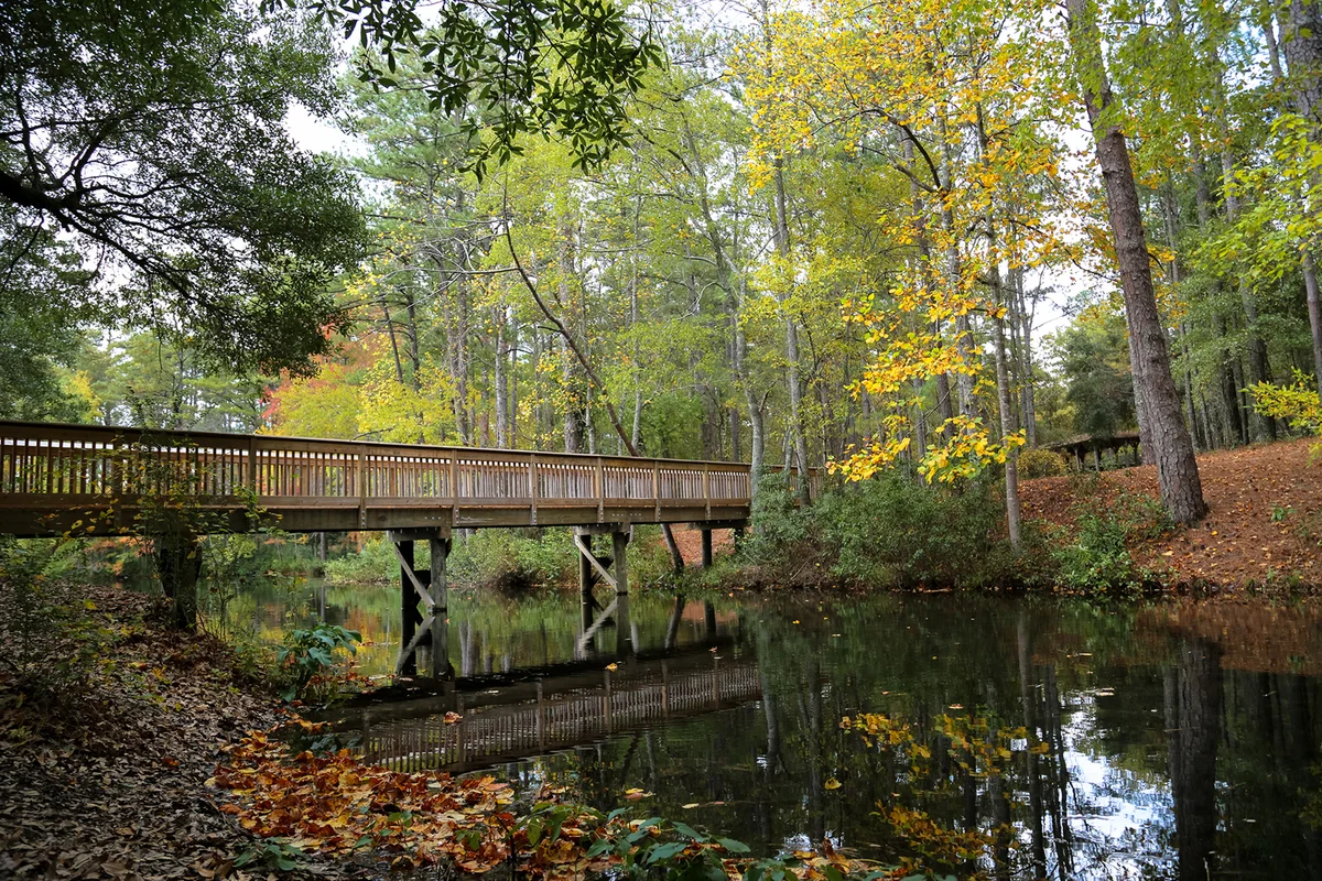 Bridge at Sesquicentennial State Park