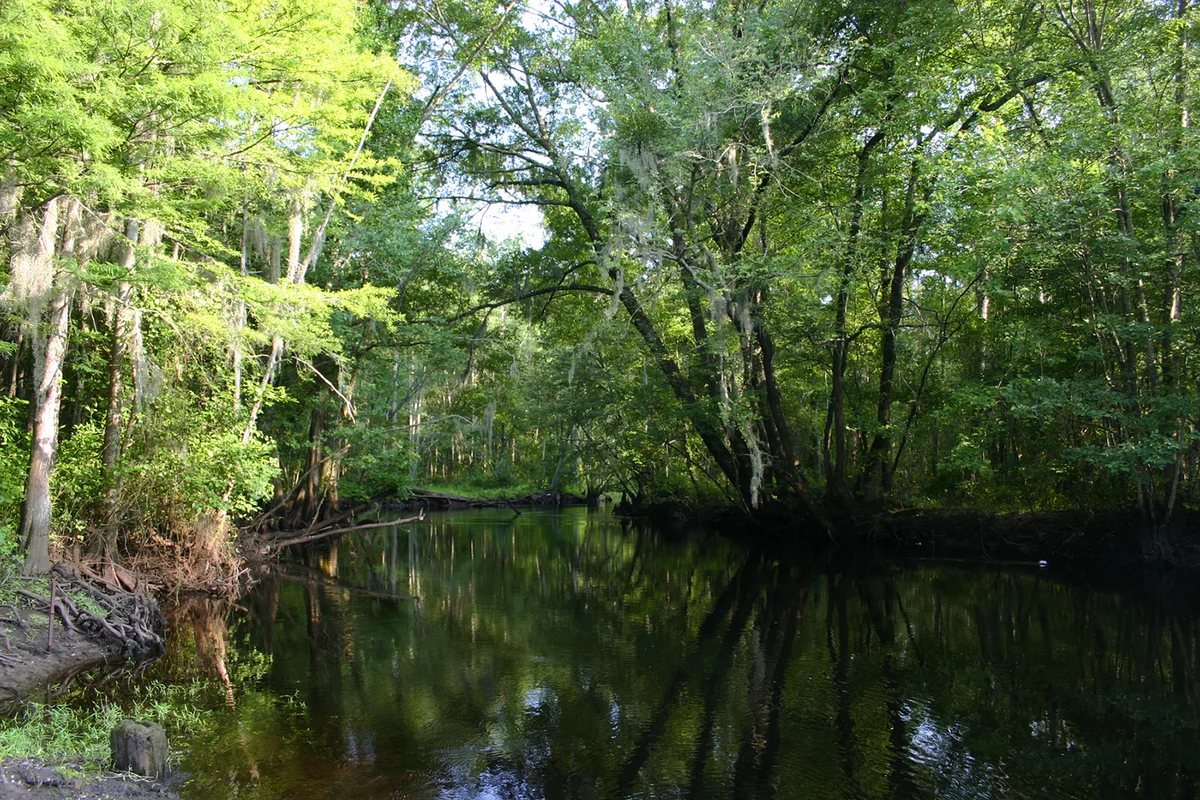 Little pee dee river