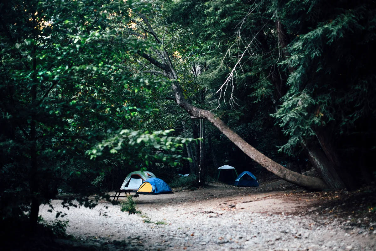 Small group of tents camping in dark forest, Big Sur, California, USA