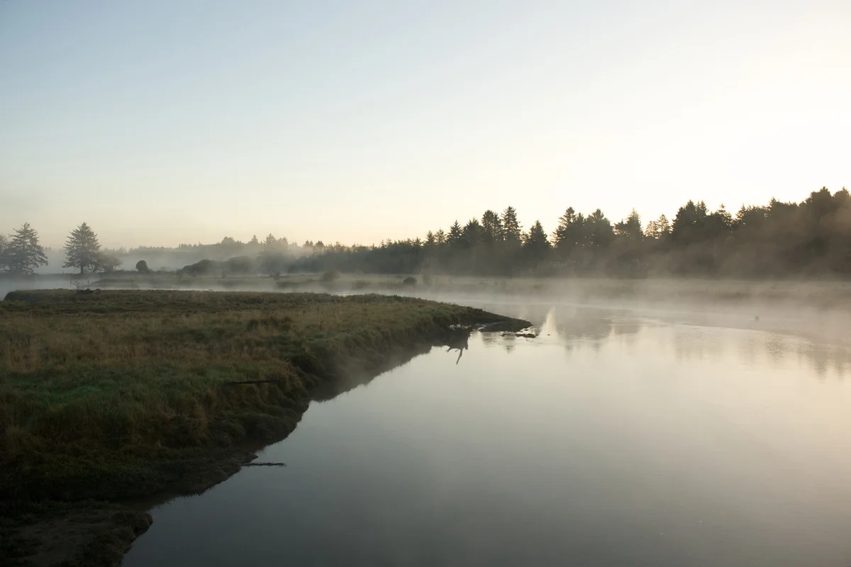 Morning on Copalis River