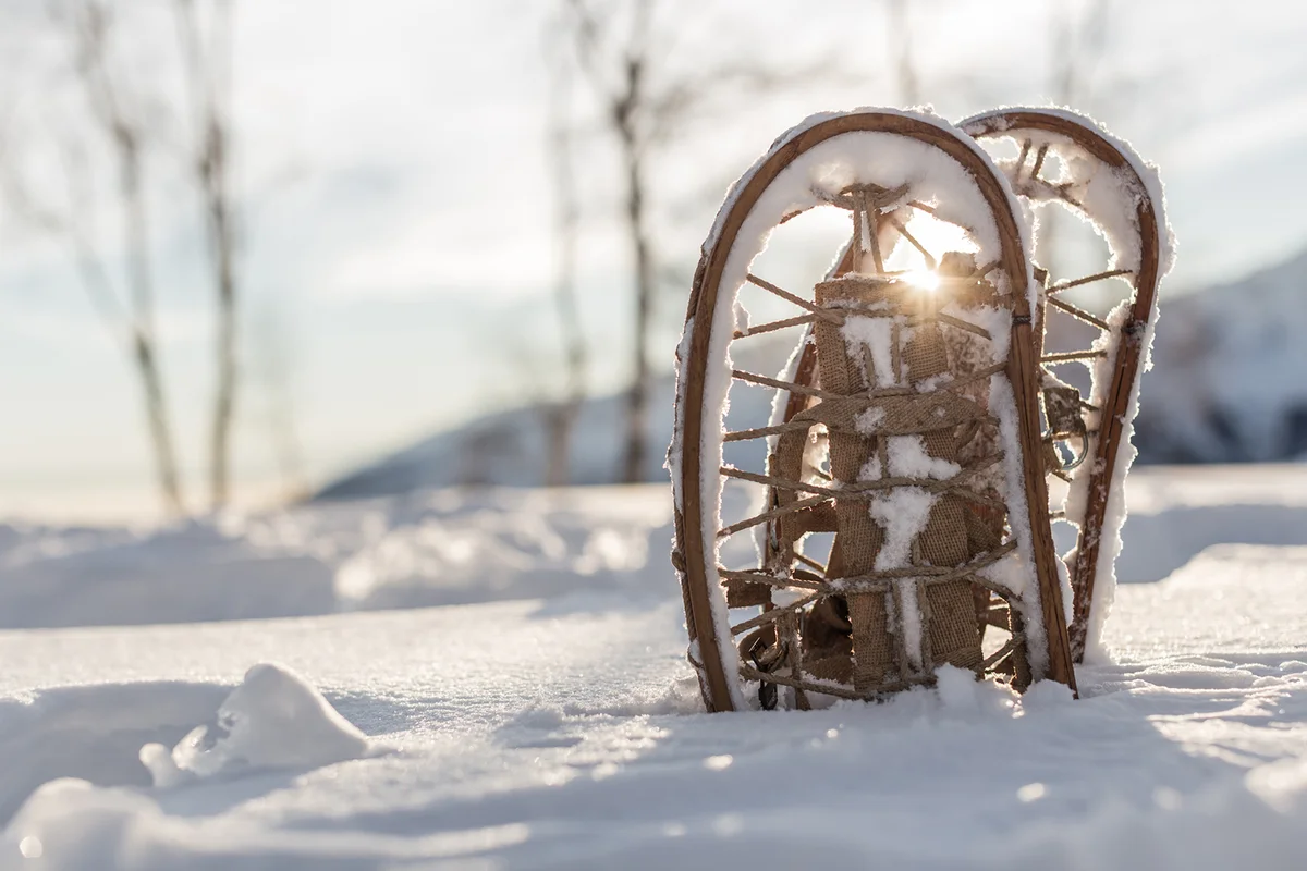 Snowshoes in snow