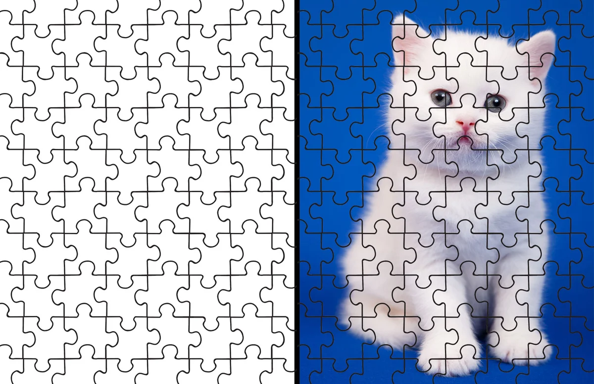 Kitten puzzle